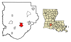 Acadia Parish Louisiana Incorporated and Unincorporated areas Crowley Highlighted